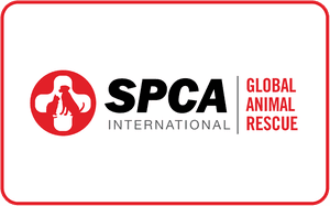 SPCA International reward
