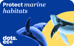 Dots.eco - Protect Marine Habitats reward