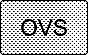 OVS reward