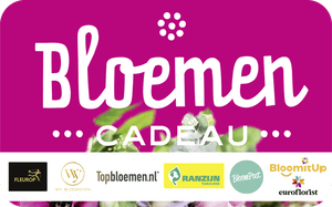 Bloemen Netherlands reward