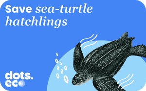 Dots.eco - Save a Sea-Turtle Hatchling reward
